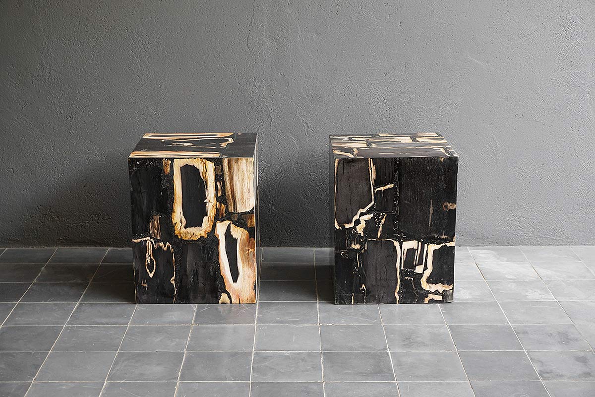 Medda Petrified Wood Side Table