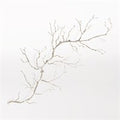 Twig Wall Art-Nickel