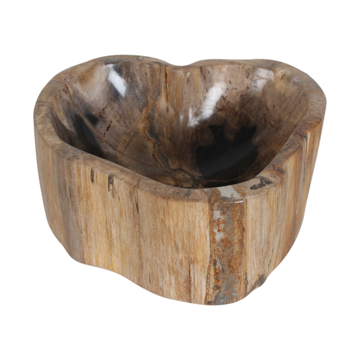 Kiena Organic Shaped Carved Petrified Wood Bowl, 8.75"W, Cream