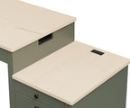 Magnolia Desk